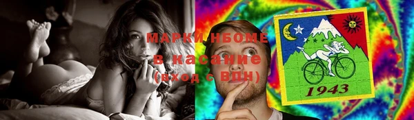 гидропоника Алзамай