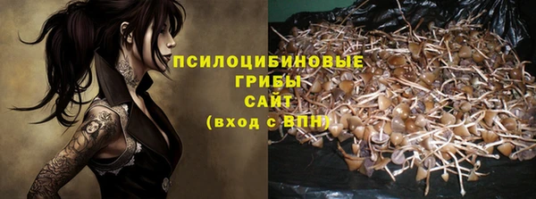 гидропоника Алзамай